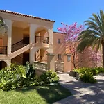 Palm Oasis