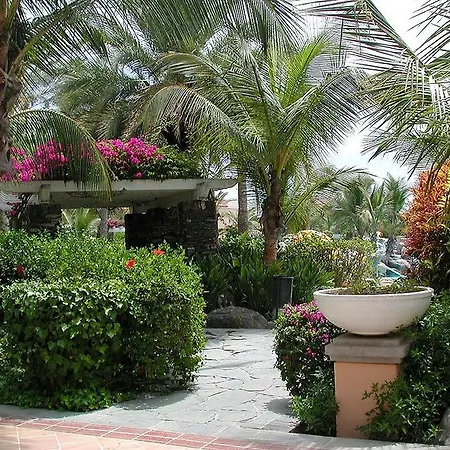 Отель Palm Oasis Maspalomas 3*