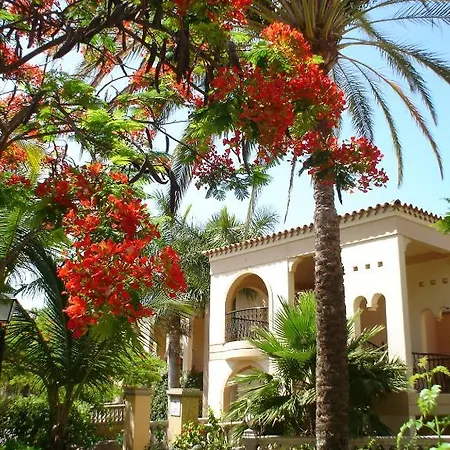 Palm Oasis Maspalomas