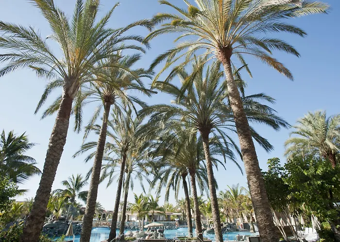 Palm Oasis Maspalomas (Gran Canaria)