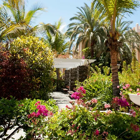 Palm Oasis Маспаломас