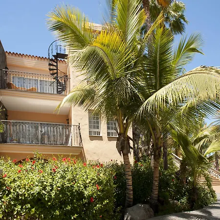 Отель Palm Oasis