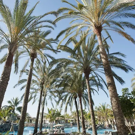 Palm Oasis Hotel