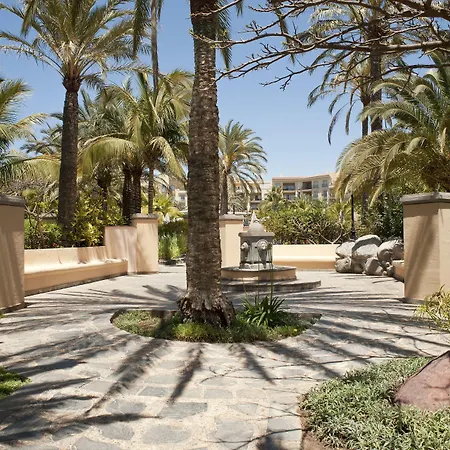 Palm Oasis
