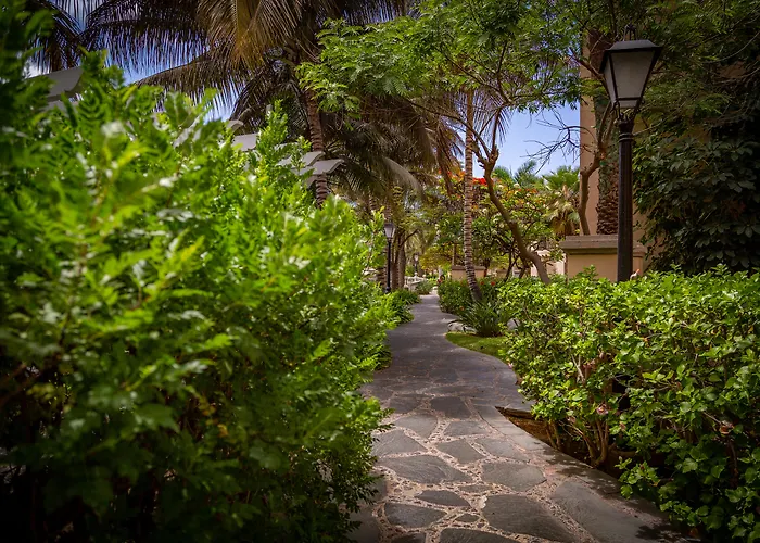 Palm Oasis 3* Μασπαλόμας